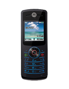 Motorola W175